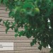 Сайдинг Ю-Пласт TIMBERBLOCK Пихта (Тимберблок) Cахалинская купить в Высоковске
