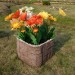Цветник КАНЬОН купить в Высоковске