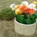 Цветник КАНЬОН купить в Высоковске