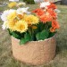 Цветник КАНЬОН купить в Высоковске