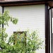 Фасадная панель Grand Line Сланец молочный купить в Высоковске